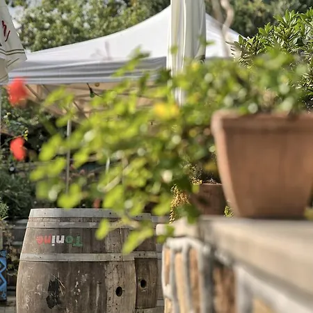 Hotel Restaurant Tonino *